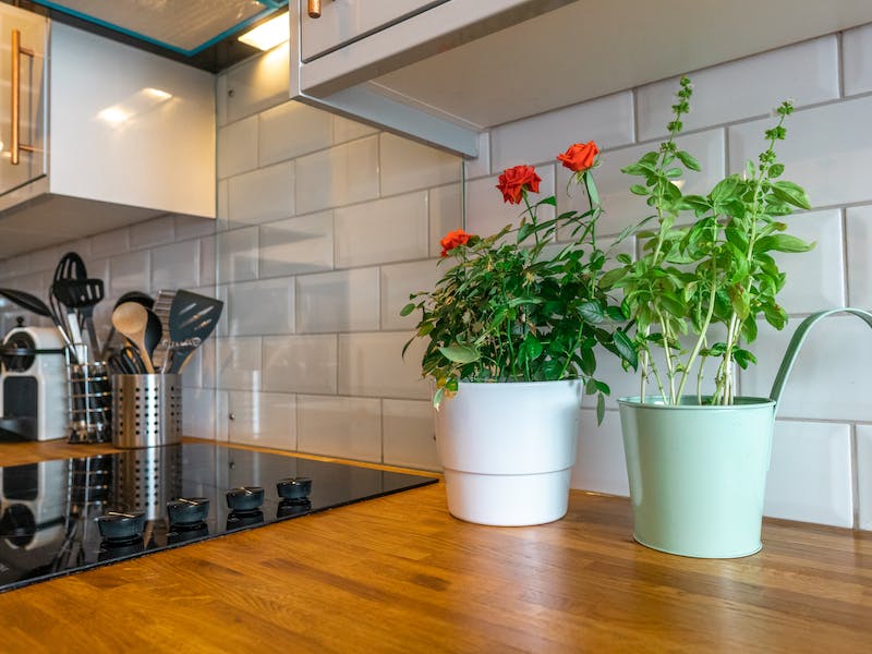 La magie de la cuisson : comment choisir la meilleure table de cuisson