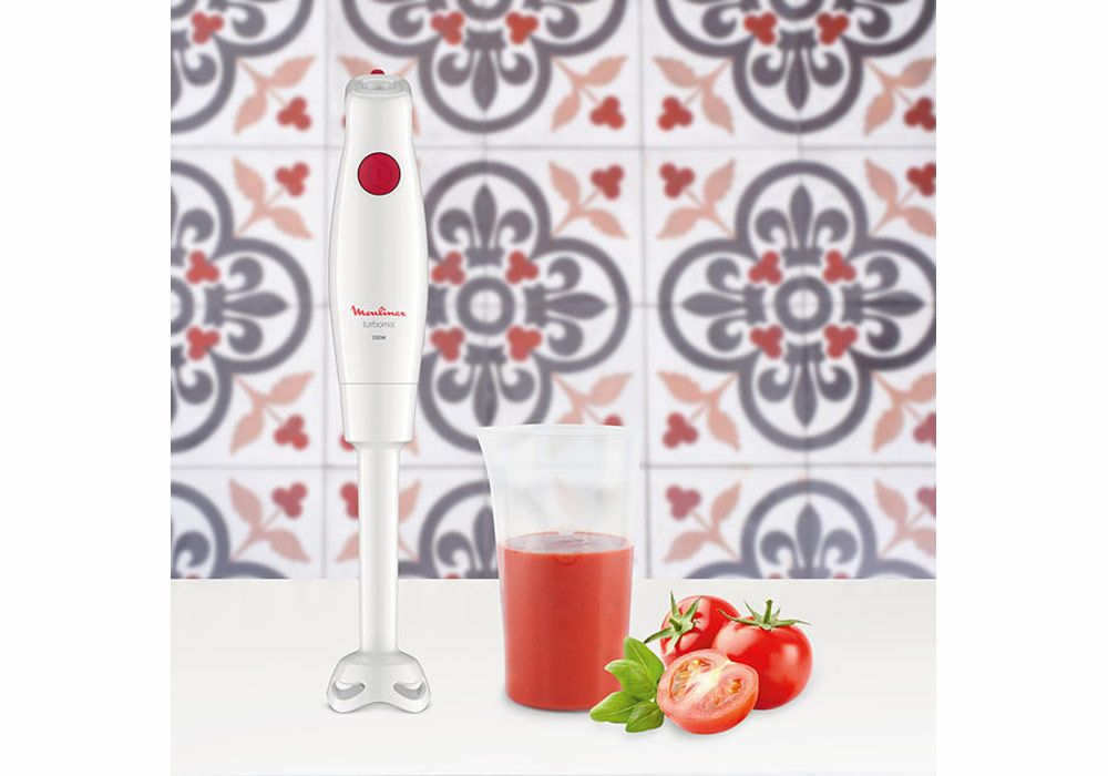 acheter mixeur plongeant st denis réunion 974