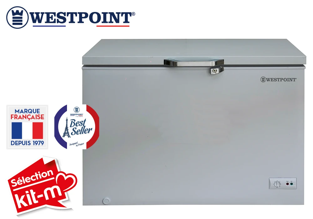 acheter congélateur saint denis 974 reunion