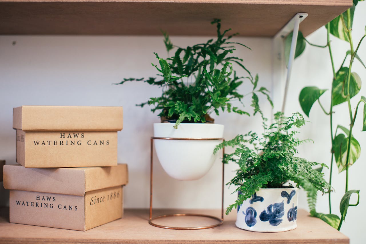 pexels-rachel-claire-5490776