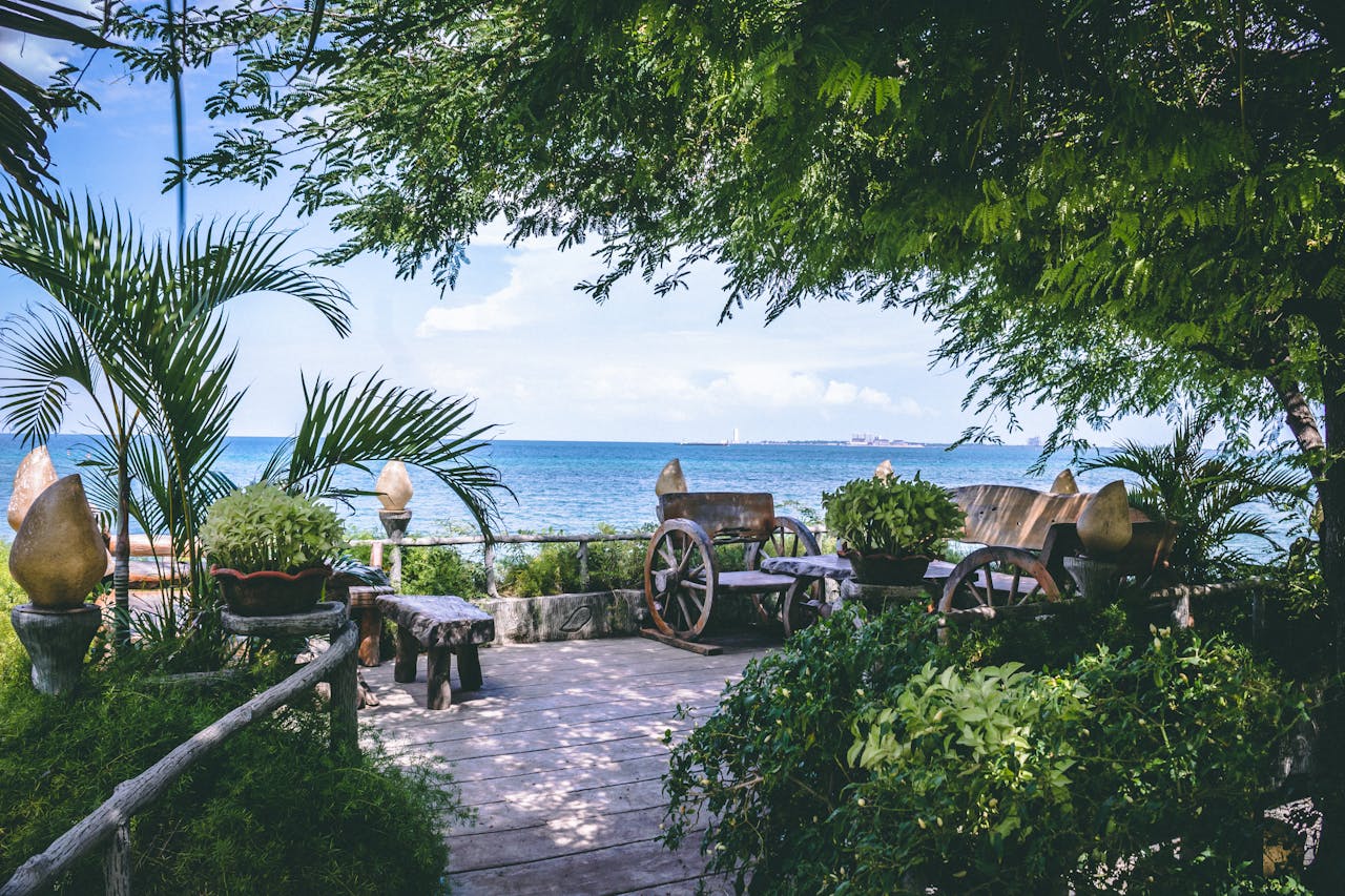 pexels-muffin-1676004